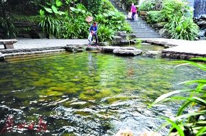 2017年廣州市兩會 水務(wù)局預(yù)算劍指水污染治理，高效著力環(huán)保技術(shù)開發(fā)服務(wù)