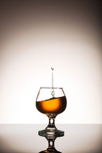 從土地到餐桌 農業循環中的食物、營養與酒精飲料